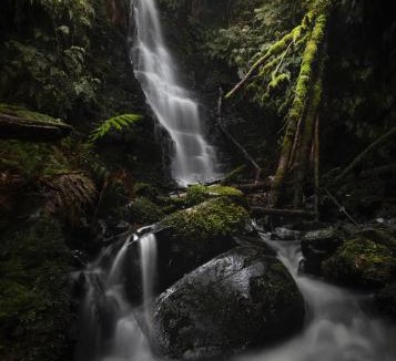 Tanybryn Cabin | The Source, Otways