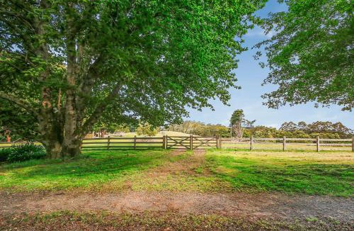 Tanybryn Cabin | The Source, Otways