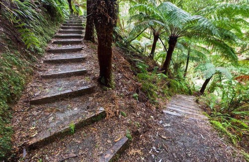 Tanybryn Cottage | The Source Otways