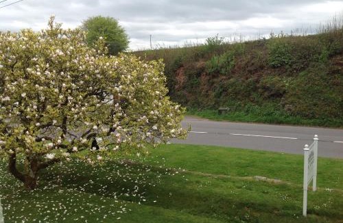 Barnstaple Bed & Breakfast | The Spinney