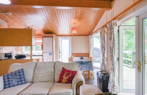 Machynlleth Cottage | The Squirrels Drey C32 - UK45927