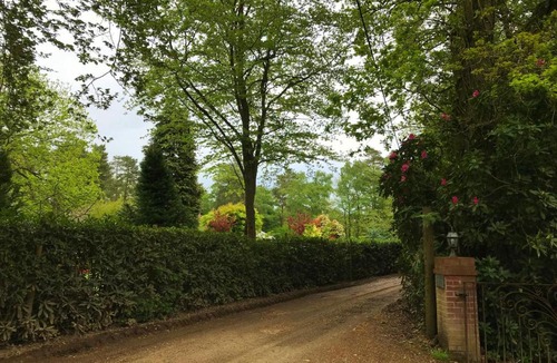 New Forest District House | The Squirrels