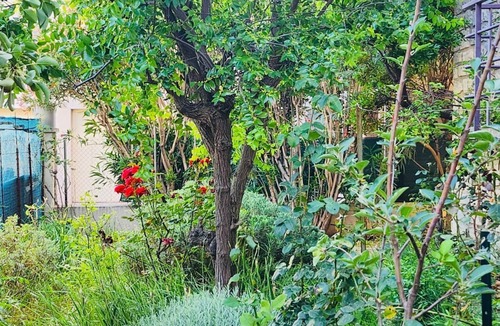 Lemasson Apartment | The St Cléophas apartment