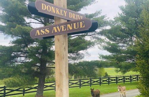Heltonville House | The Stable- at Donkeytown, barndominium on a 40 acre guest ranch