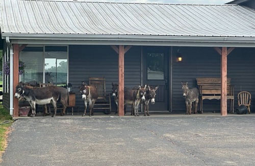 Heltonville House | The Stable- at Donkeytown, barndominium on a 40 acre guest ranch