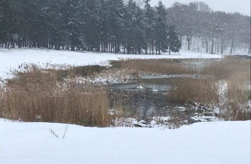 Beccles Bed & Breakfast | The Stables