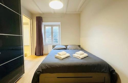 City-Centre - Petite France Apartment | The Stables Premium Apartment City Center