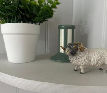 Braintree Apartment | The Stables & Silos