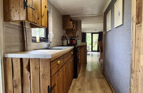 Farden House | The Star Gazing Tree House