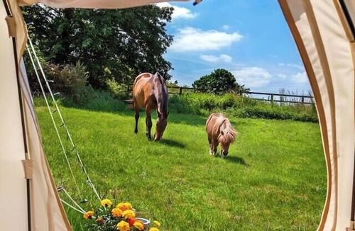 Loughborough House | The Stargazer - Farm Stay