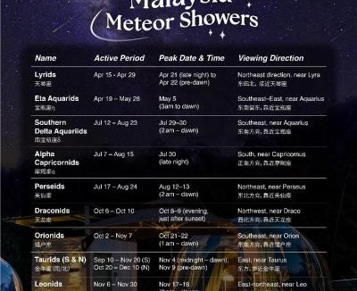 Ulu Telom Other | The Starry Campervans Cameron Highlands