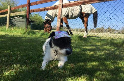 Bruton Apartment | The Starting Gate, Bruton