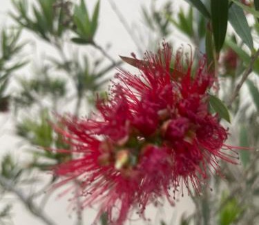 Littlehampton Bed & Breakfast | The Steam Packet