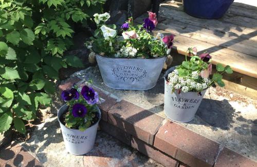 Wolfville Bed & Breakfast | The Stella Rose B&B