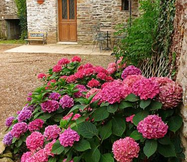 Comblessac House | The Storyteller Apartment at Chateau Le Mur