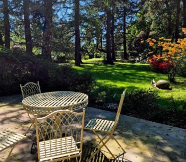 Coleman's Hatch Apartment | The Studio, Apedroc