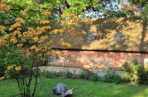 Coleman's Hatch Apartment | The Studio, Apedroc