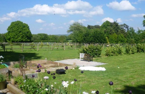 Haslemere Apartment | The Studio