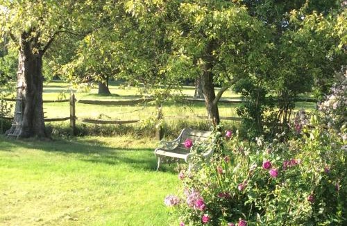 Wisborough Green House | The Studio