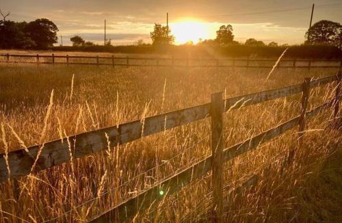 Woodbridge House | The Studio, Hoo