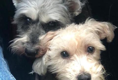 Englefield Green Apartment | The Studio on The Green