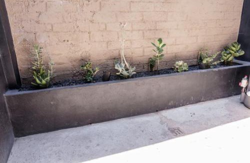 Zona Centro Apartment | The Studios 22800