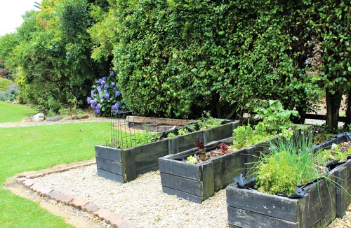 Bay of Plenty Region House | The Surfcaster - Pikowai Beach, Whakatane