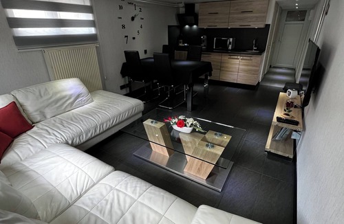 Battenheim Apartment | The swallows