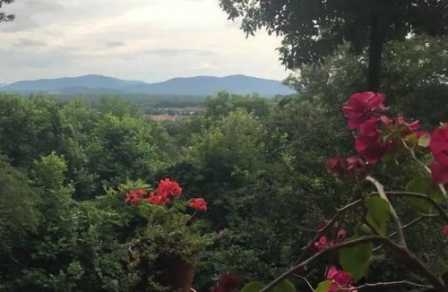 Skyland House | The Sweet Spot