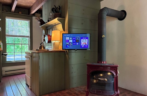 Warm Springs House | The Tannery! Private Dipping Pool In The Warm Springs Stream! Pet Friendly!