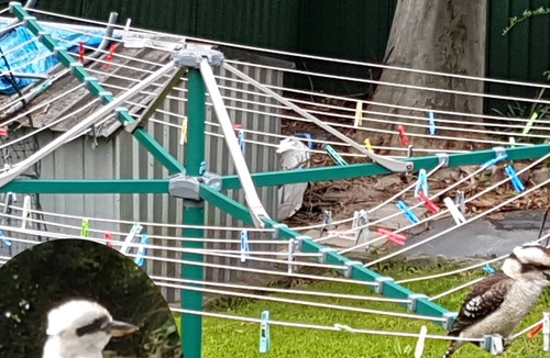 Bexley House | The Tardis Expanded - Huge 4BR - Great Location