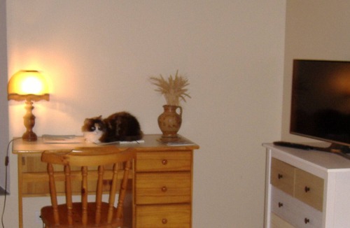 Troncens House | THE THREE MARRONNIERS