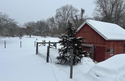 Oakdale Cottage | The Tiny Cottage on The Ranch