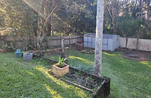 Toormina House | The Toormina Treehouse