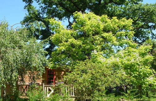 Manciet Ski Chalet | the trailer Simone 4people