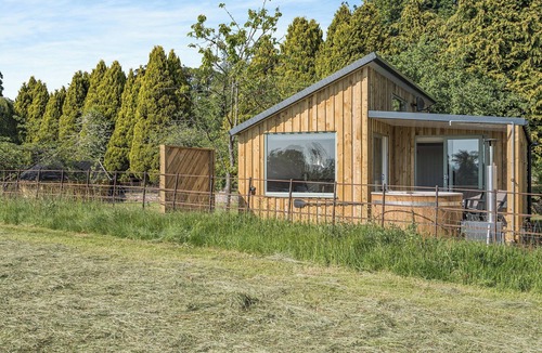 Mouswald Cottage | The Tranquil Orchard - Nuthatch-UK32791