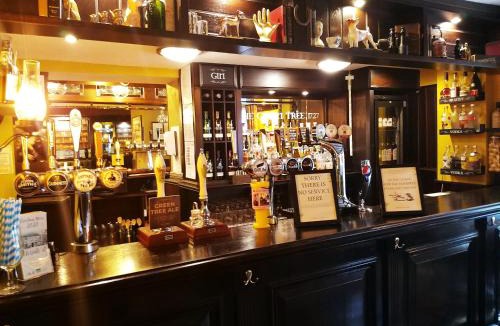 Tudhoe Apartment | The Tree House