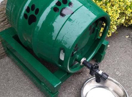 Tudhoe Apartment | The Tree House