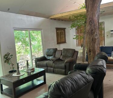 Gordonville House | The tree house