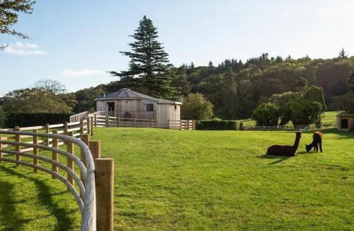 Cockburnspath House | The Treehouse