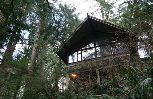 North Bend Cabin | The Treehouse + Writer`s Cabin~ Hot tub