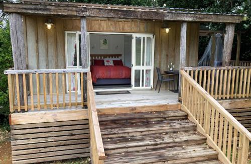 Ohauiti House | The Treehut