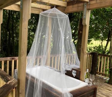 Ohauiti House | The Treehut