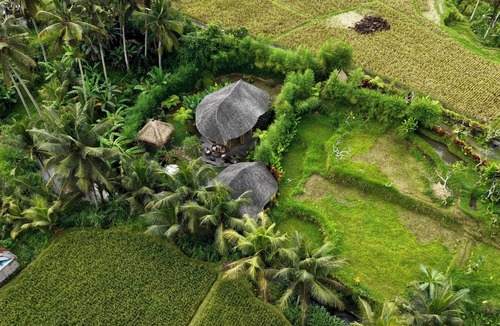 Melayang Villa | The Uma Bali - Bambus Pool Villa with private Butler & Driver