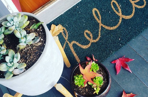 Roseburg House | The Urban Boho Charmer with Private Backyard, BBQ & Hammock