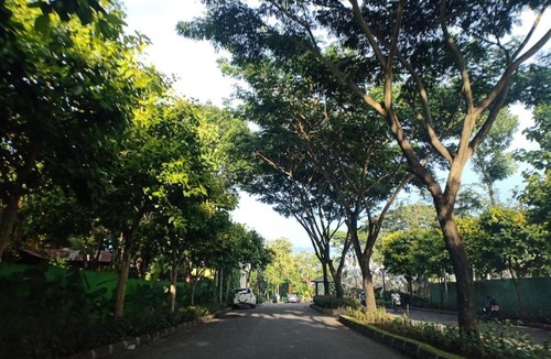Malang House | The Valley Guesthouse