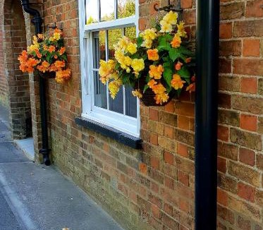 Alford Bed & Breakfast | The Vine B & B