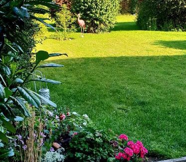 Alford Bed & Breakfast | The Vine B & B