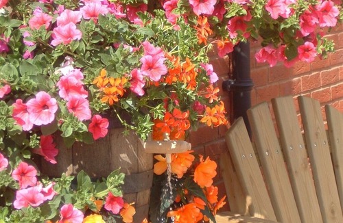 Mere Hotel | The Walnut Tree Inn