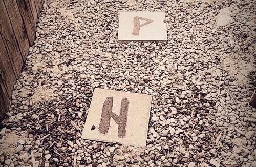 Boise House | The Wandering Viking